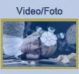 Website Sanitätshaus
